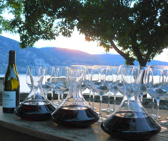 Pinot Noir at Gods Mtn.JPG